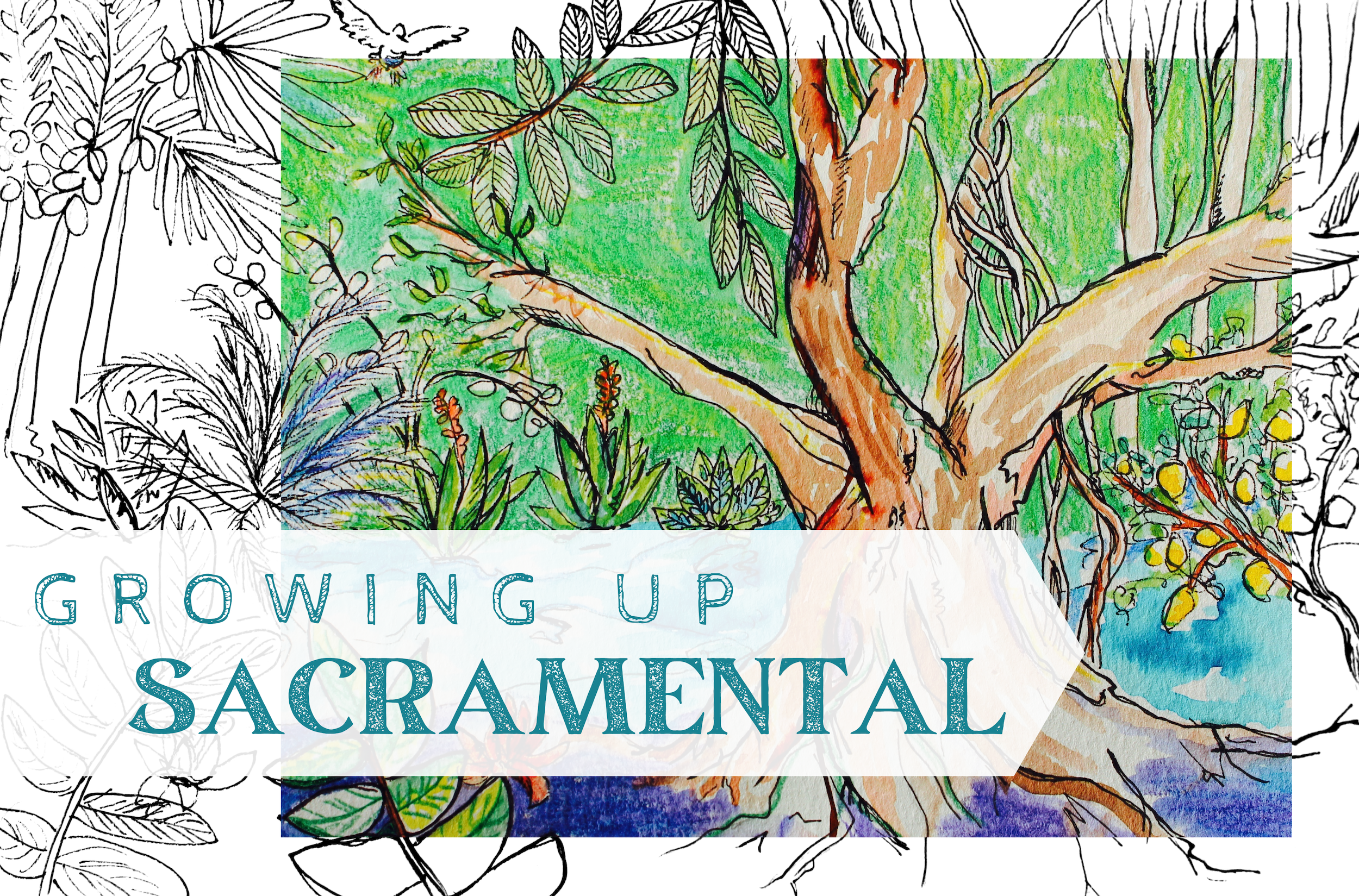 Growing Up Sacramental (1)